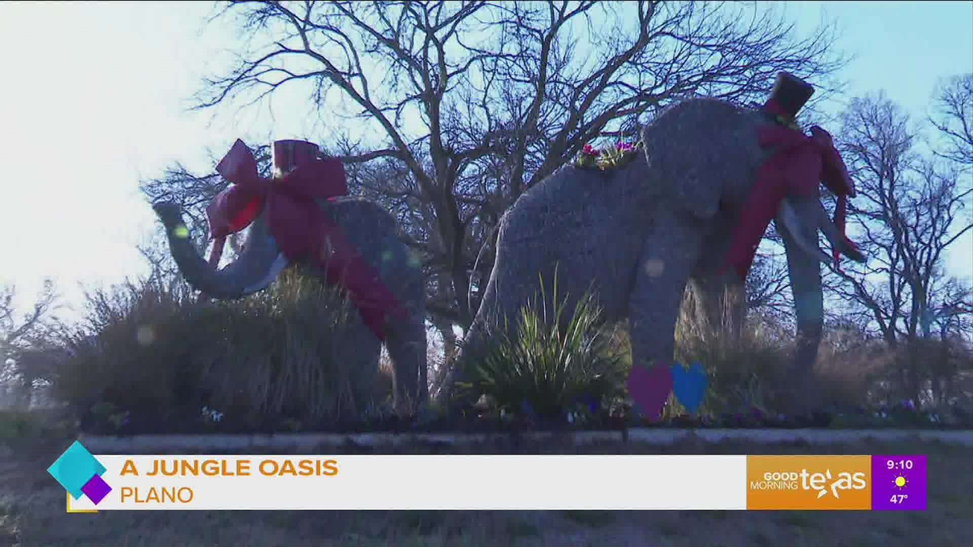 Paige checks out the life sized sculptures made by Larry Solomon on his Plano estate