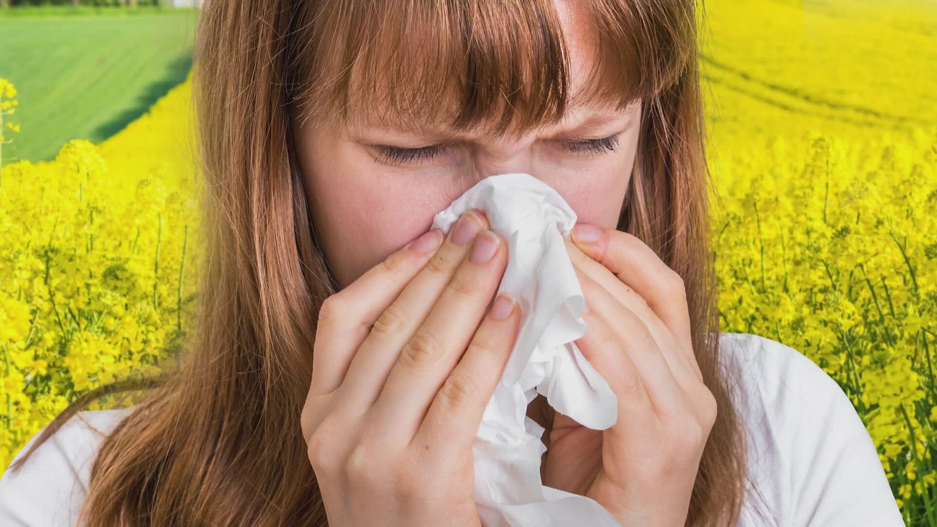 What is Cedar Fever?