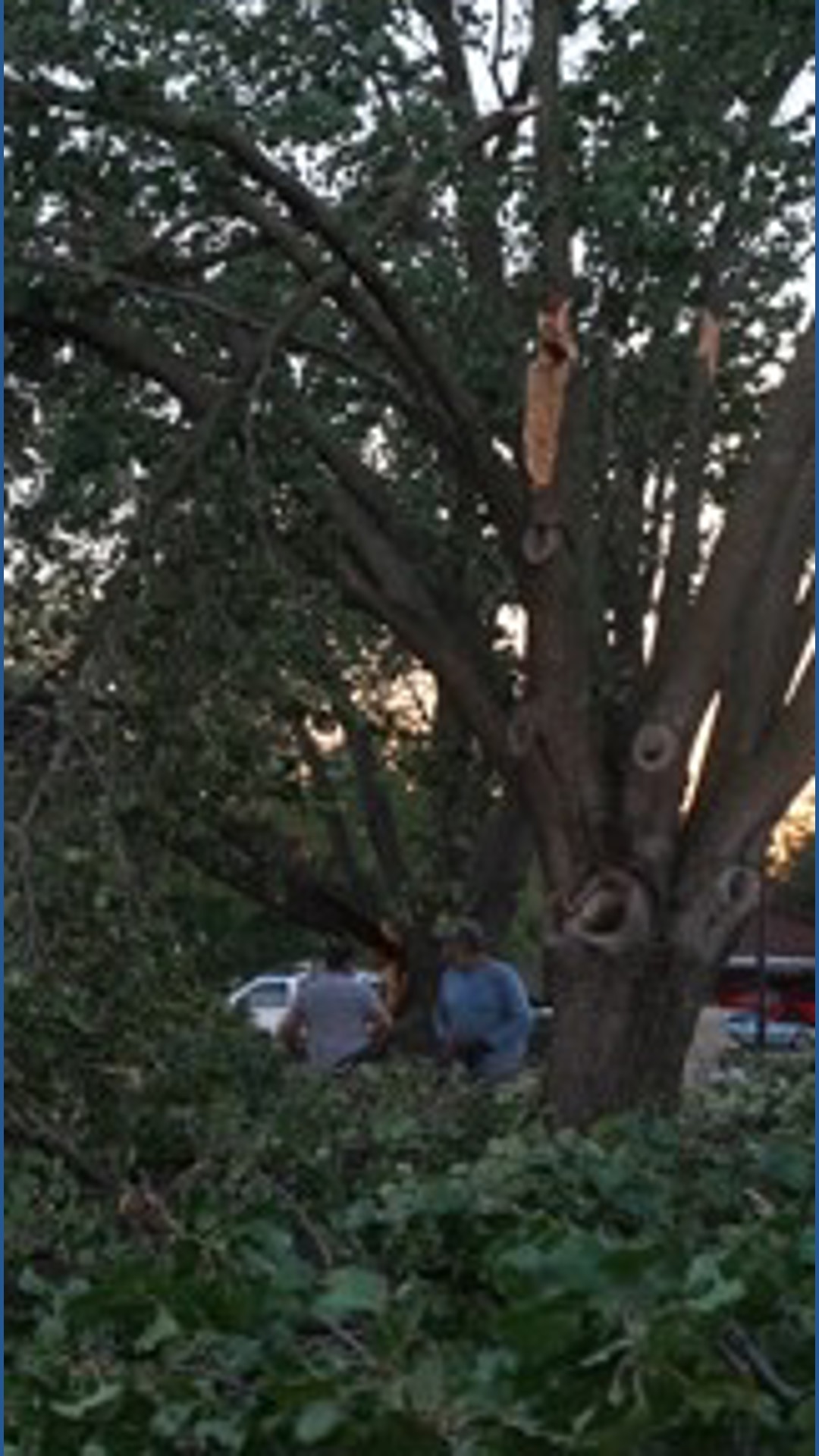 Blast of stormy weather causes extensive damage in parts of Tarrant ...