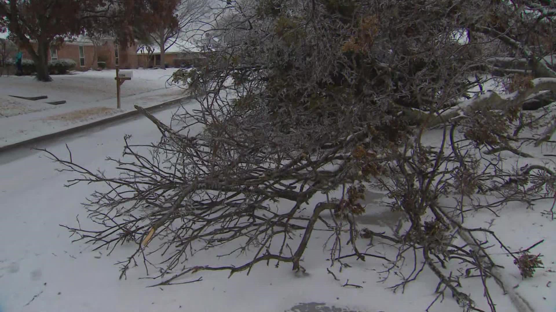 With a lot of trees brought down because of freezing rain in North Texas, WFAA meteorologist shows some of the damage in Plano.