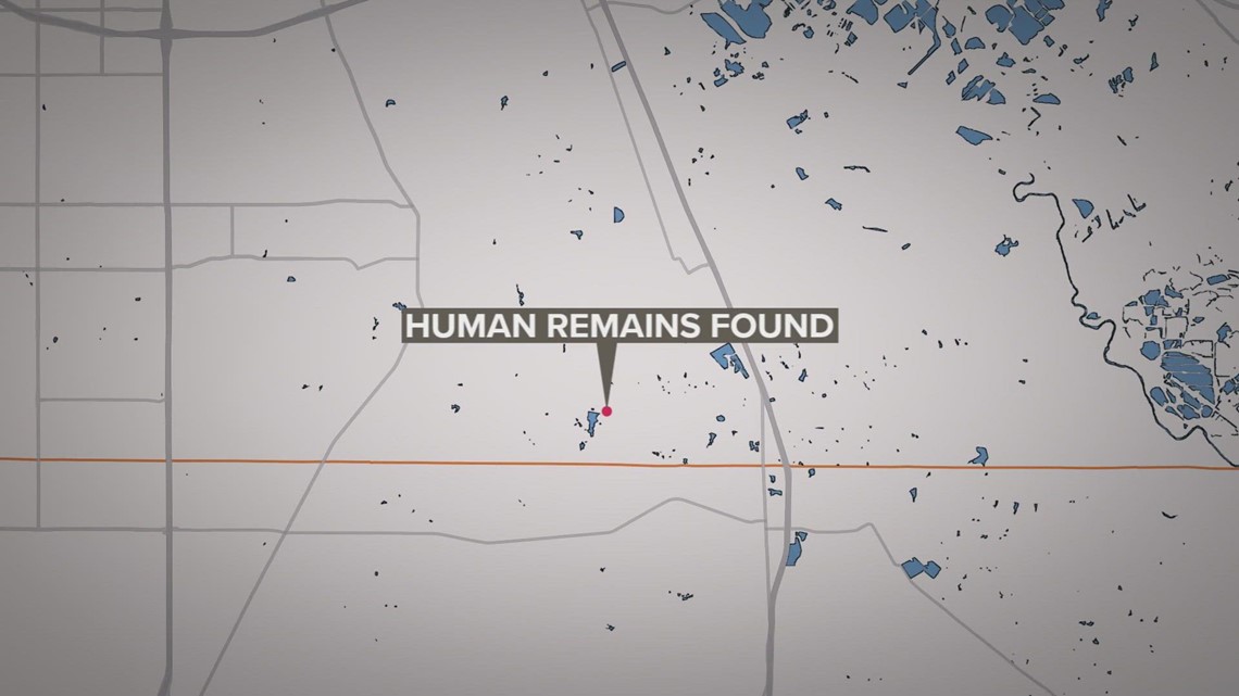 Dallas County Sheriff's Office investigating human remains found