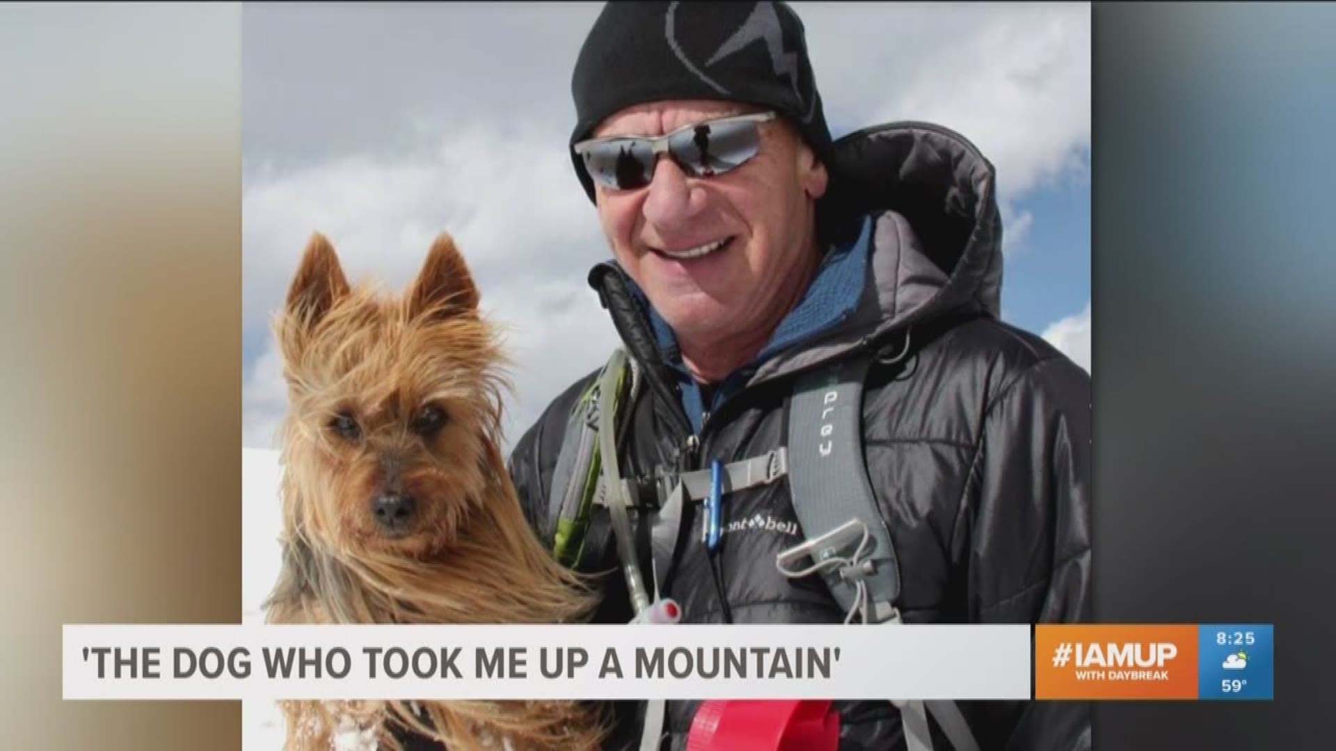 Interview with Rick Crandall: Author of "The Dog Who Took Me Up a Mountain"