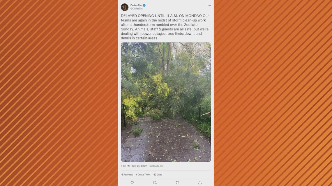 dallas-zoo-delayed-monday-opening-due-to-storm-damage-wfaa