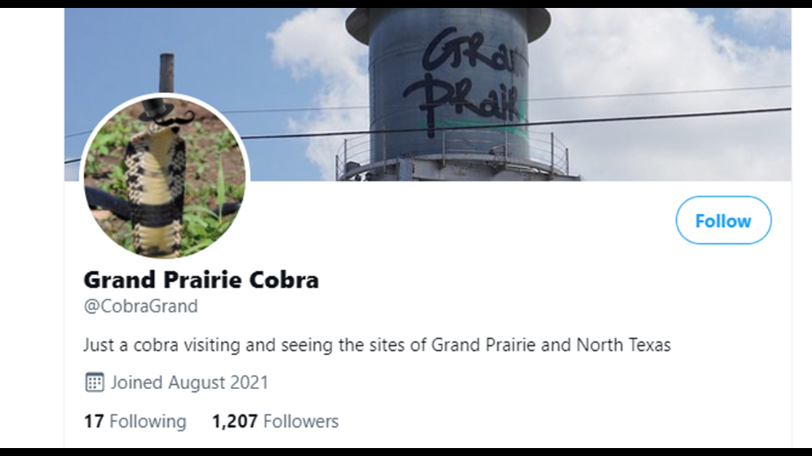 What happened to the Grand Prairie cobra? Curious Texas investigates