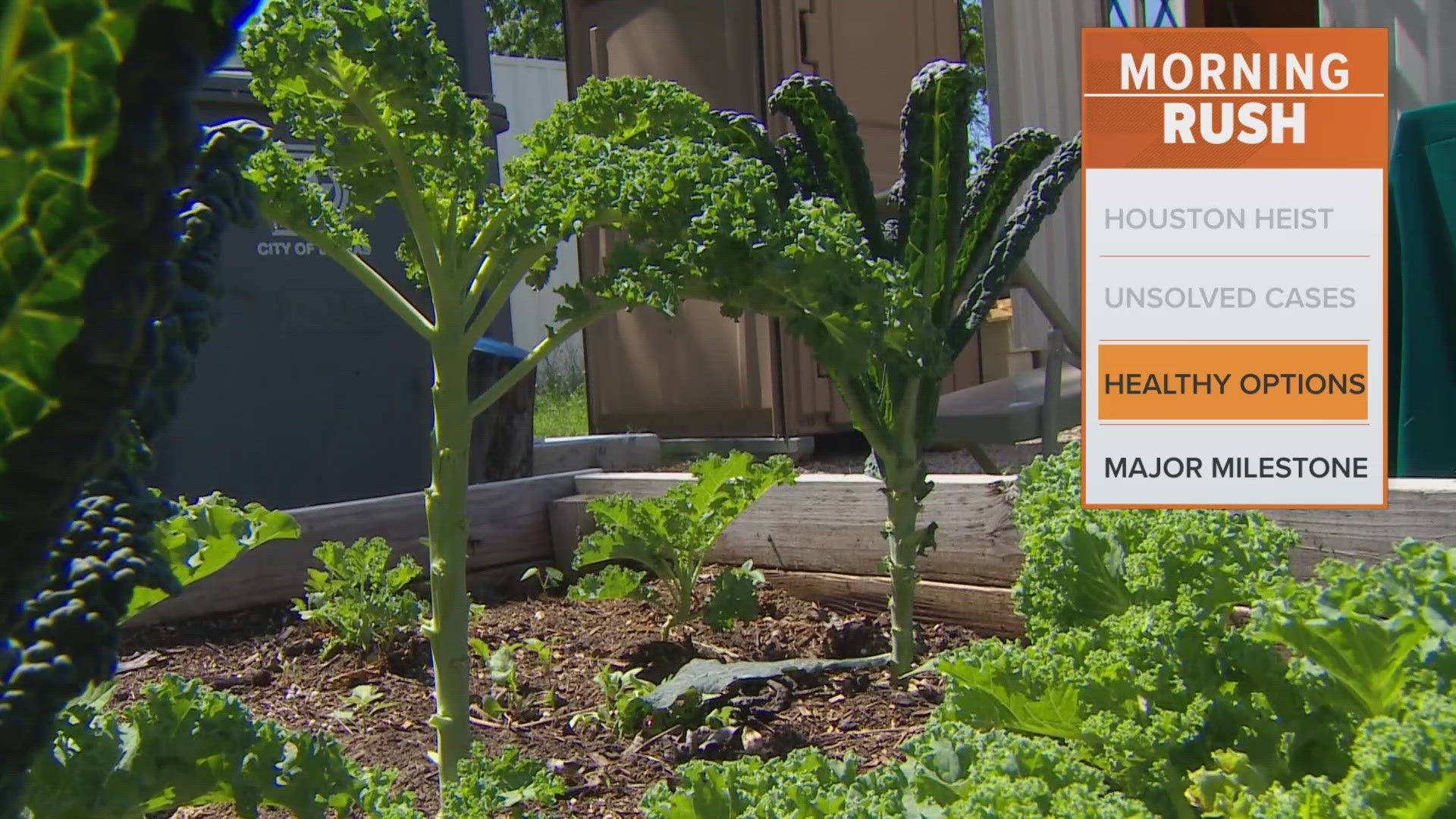 Joppy Momma's Farm aims to provide fresh produce for local families in a food desert.