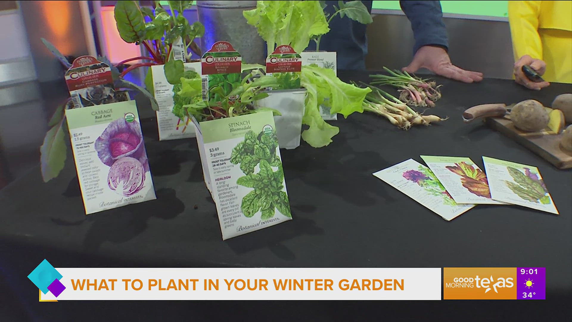 Horticulturist Daniel Cunningham of Rooted In expla ins what vegetables and leafy greens to plant now for late winter/early spring harvest.