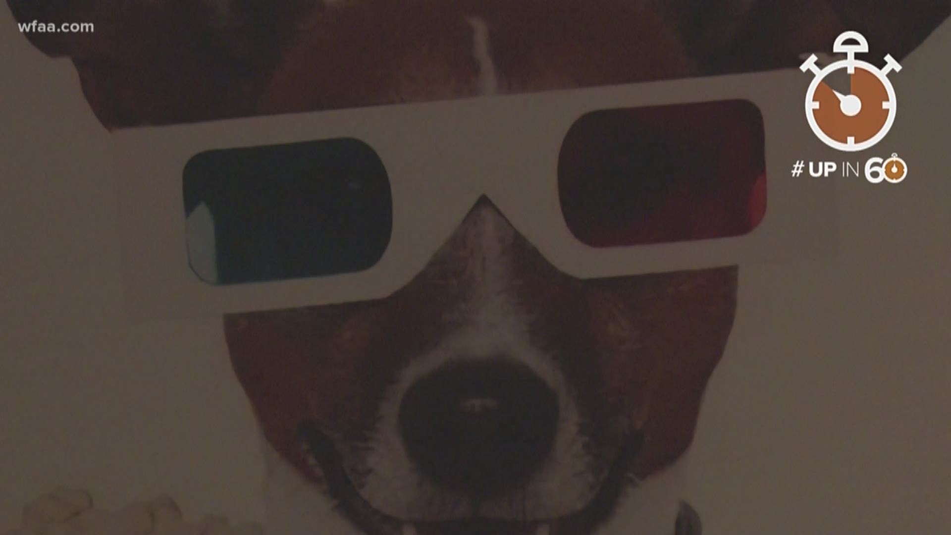 Take your dog to the movies? Why not! Plano theater is pup friendly