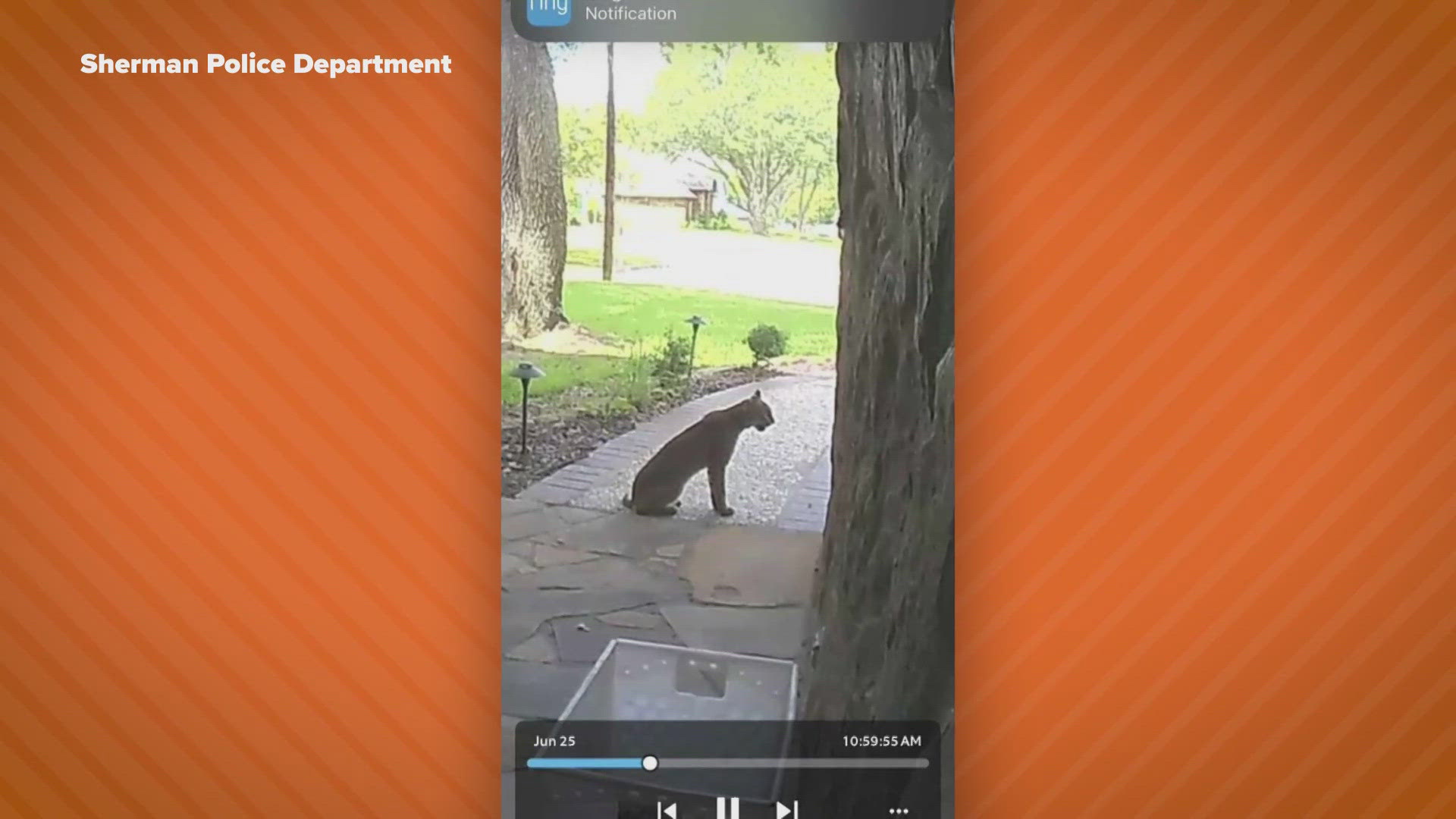 It's a reminder to keep a close eye on your pets. 