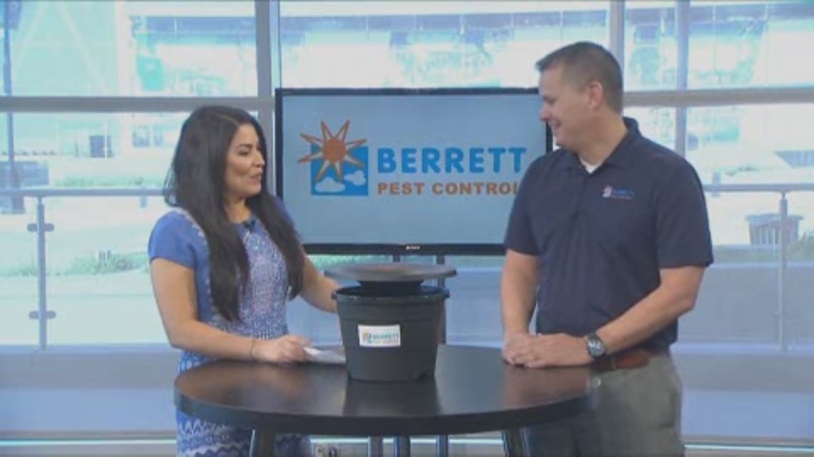 Berrett Pest Control Helps Get Rid Of Mosquitoes Wfaa