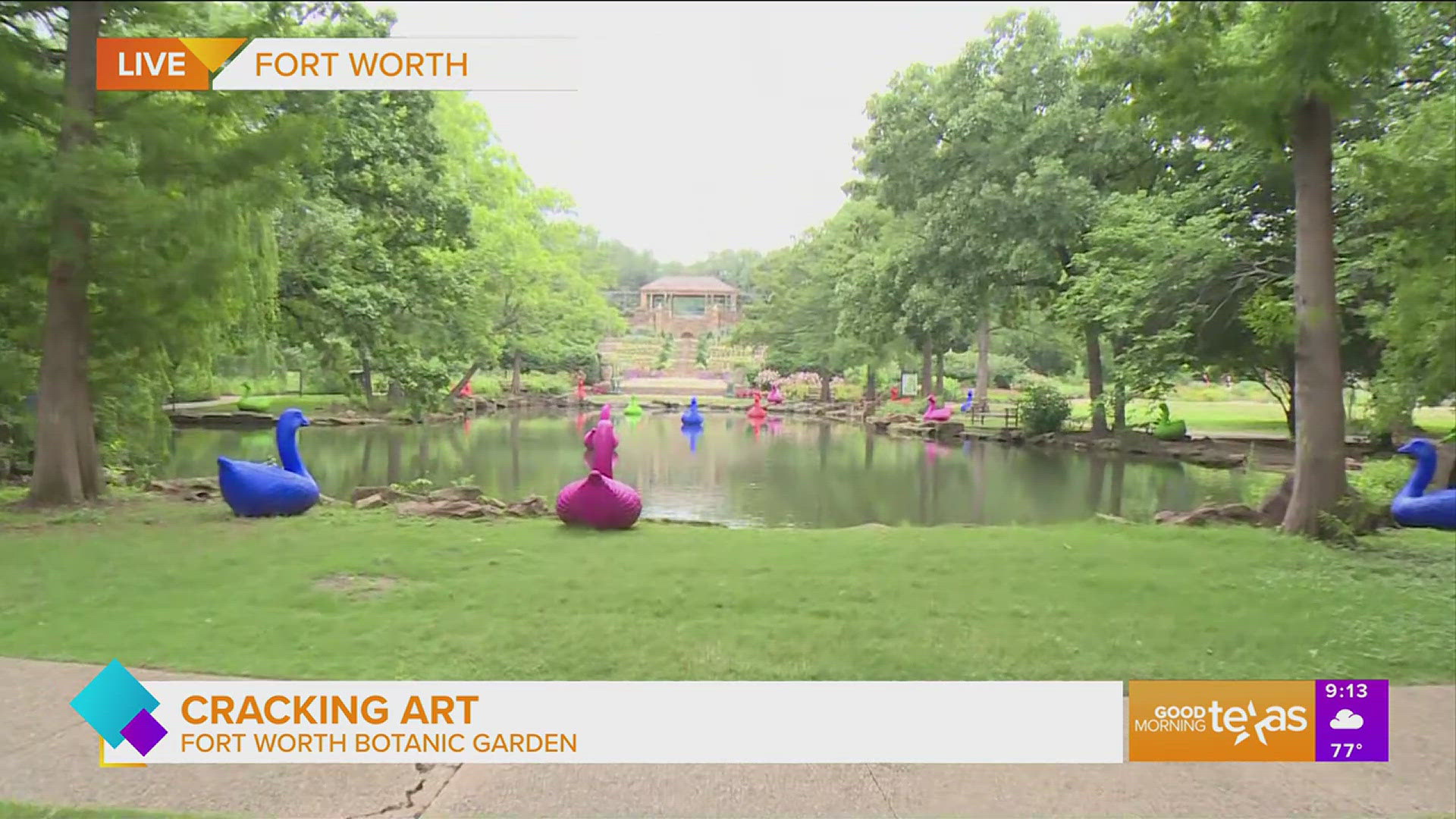 Paige takes us to the Fort Worth Botanic Garden to check out their "Cracking Art" exhibit. 