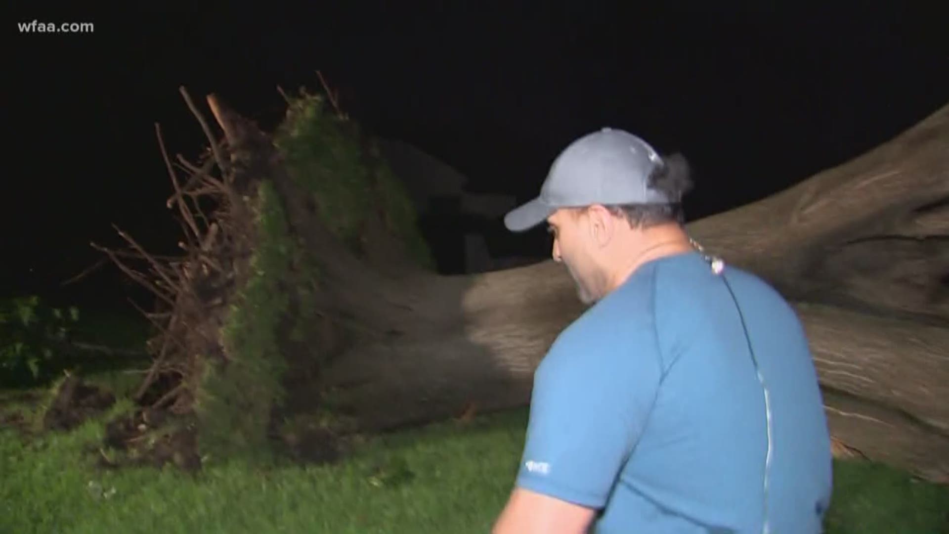 Trees were down all over the Dallas area Sunday.