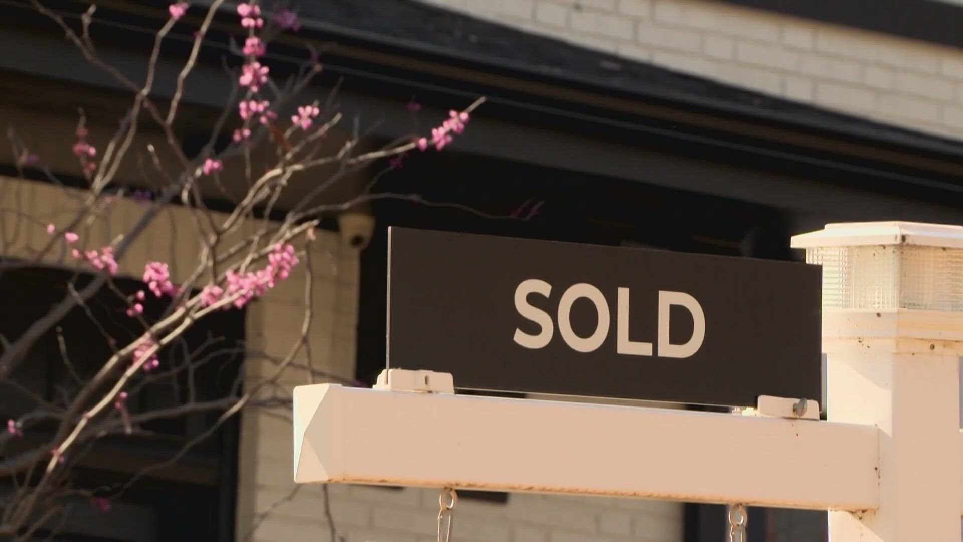 Texas Sb 6 2025 Bill 