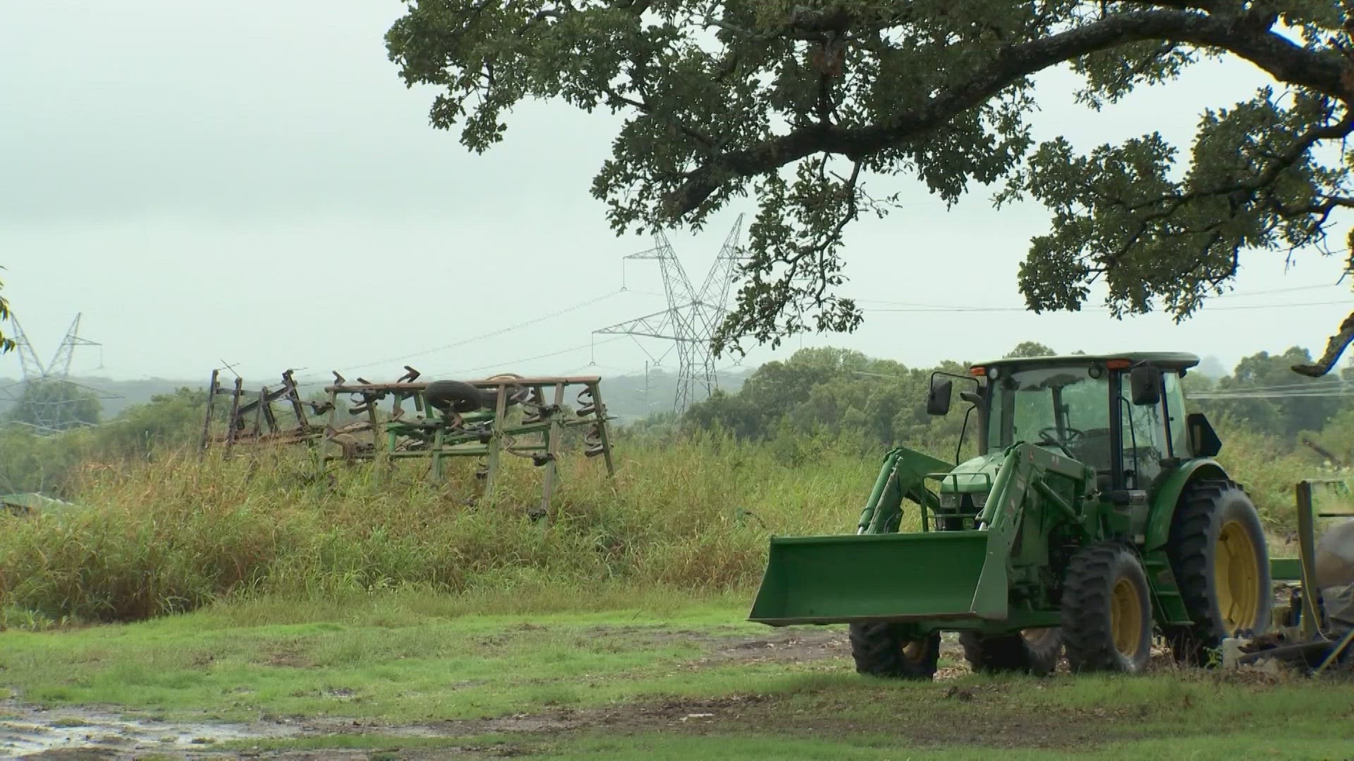 Texas voters have to decide the fate of 14 constitutional amendments on Tuesday.