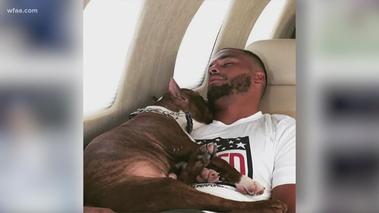 Image result for Dak Prescott and his pit bull