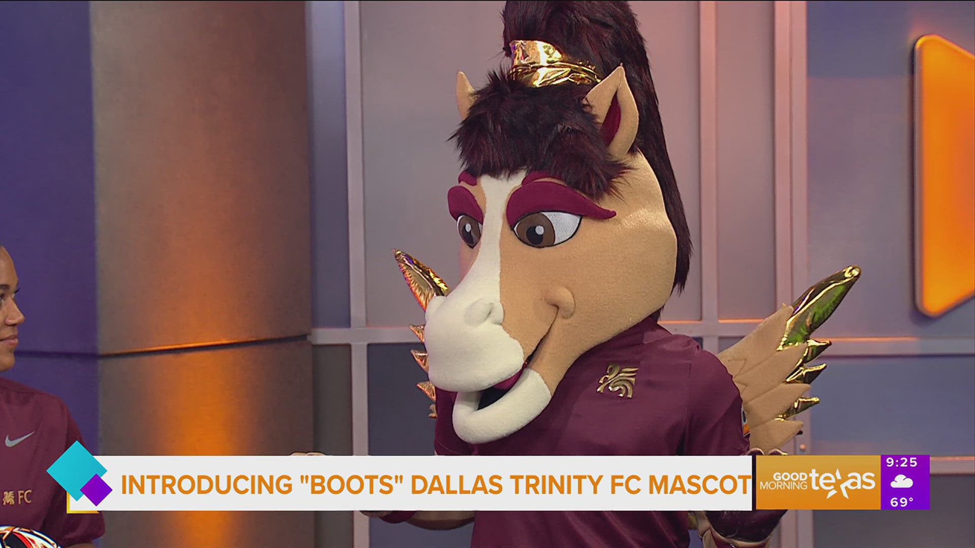 Dallas' professional women's soccer team has unveiled its newest member. Meet Boots: the magical Pegasus with wings.