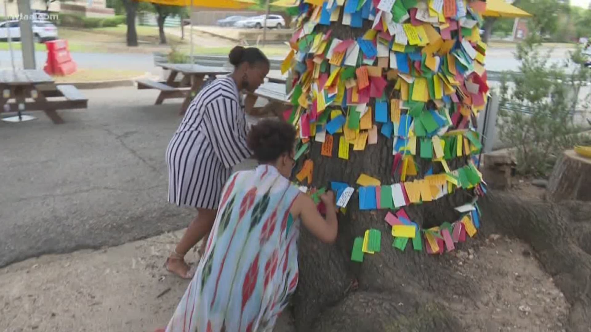 Wishing tree inspires North Texans