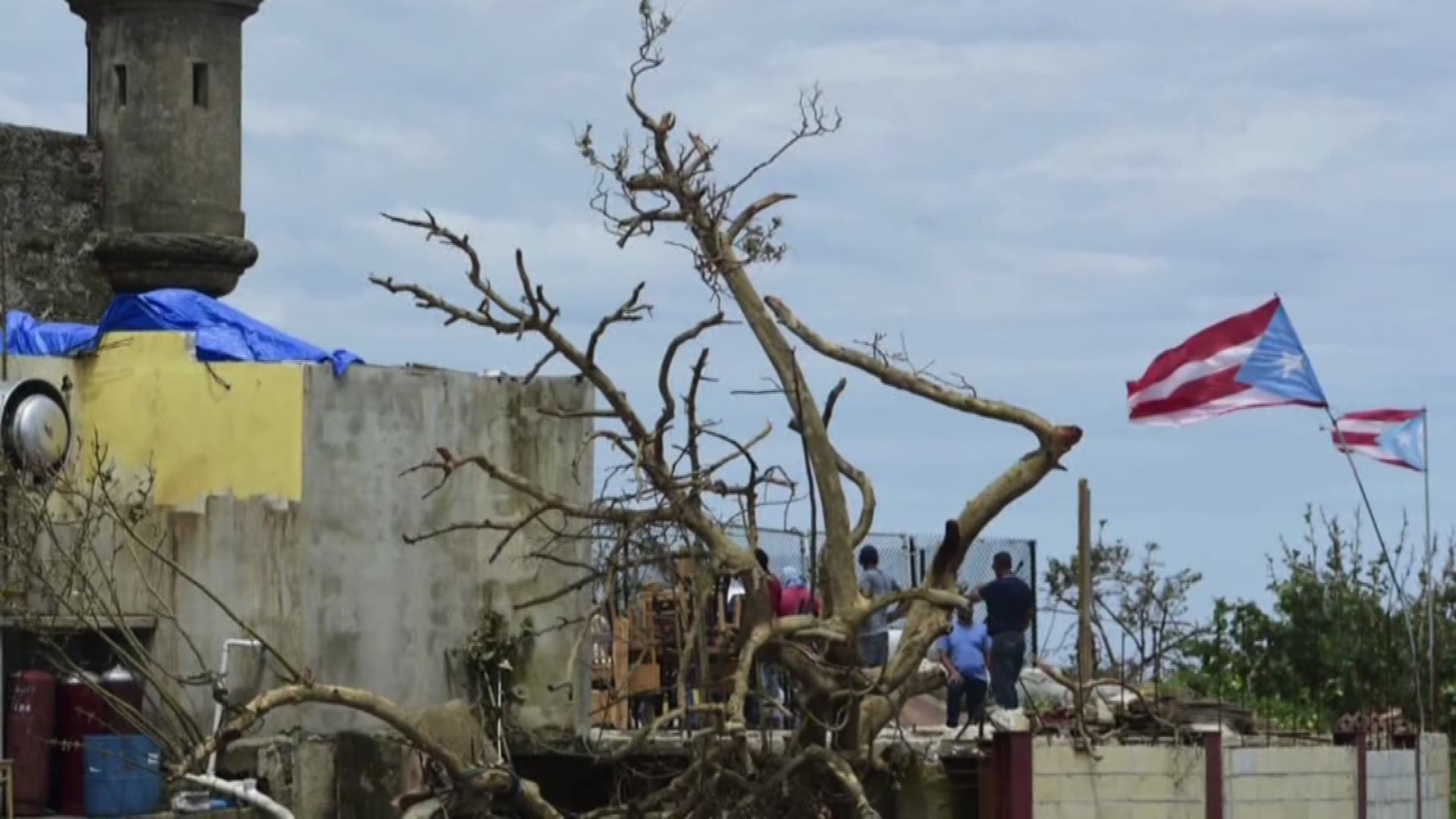 J.J. Barea uses Mavs plane to deliver relief in Puerto Rico