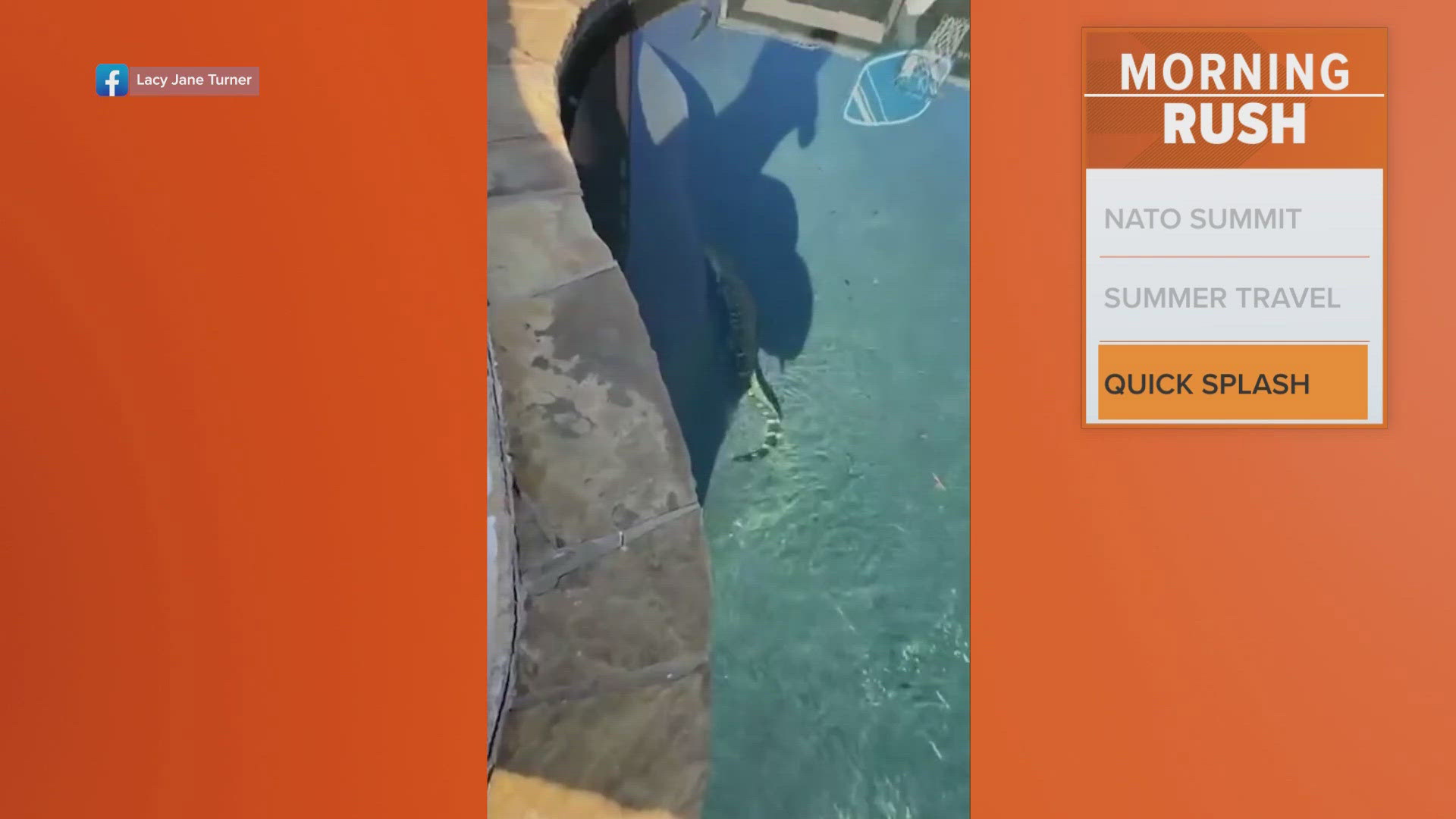 He was eventually removed from the pool. 