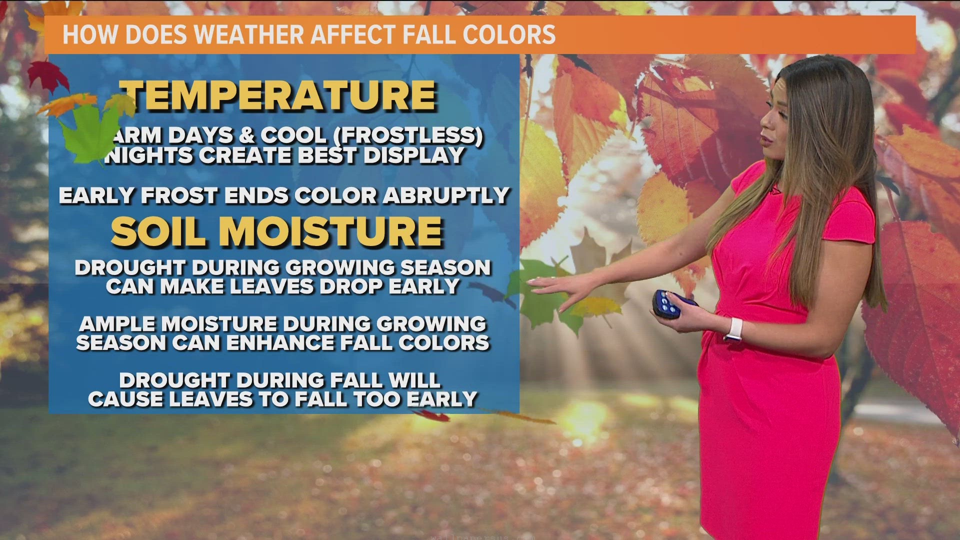 WFAA meteorologist Mariel Ruiz explains the science behind fall foliage