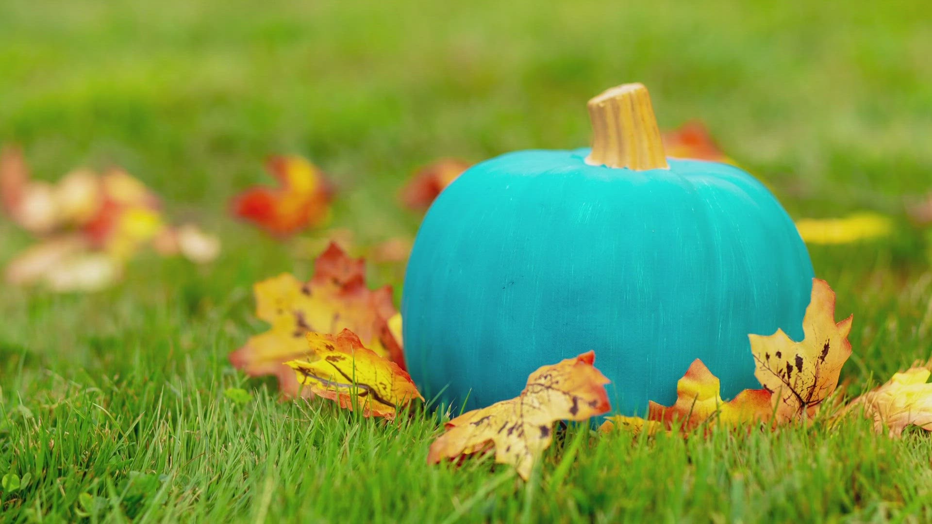A teal pumpkin on a doorstep is a signal that the homeowner as non-food treats for kids with food allergies.