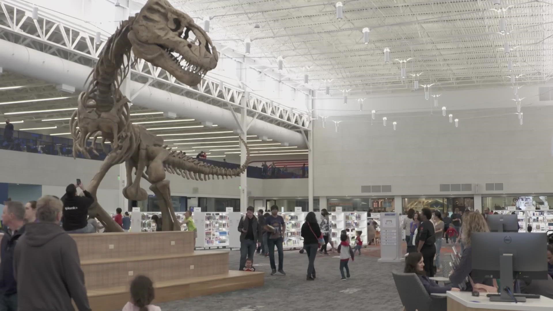 Rawr!' 20-foot T. rex dinosaur skeleton at Frisco Public Library