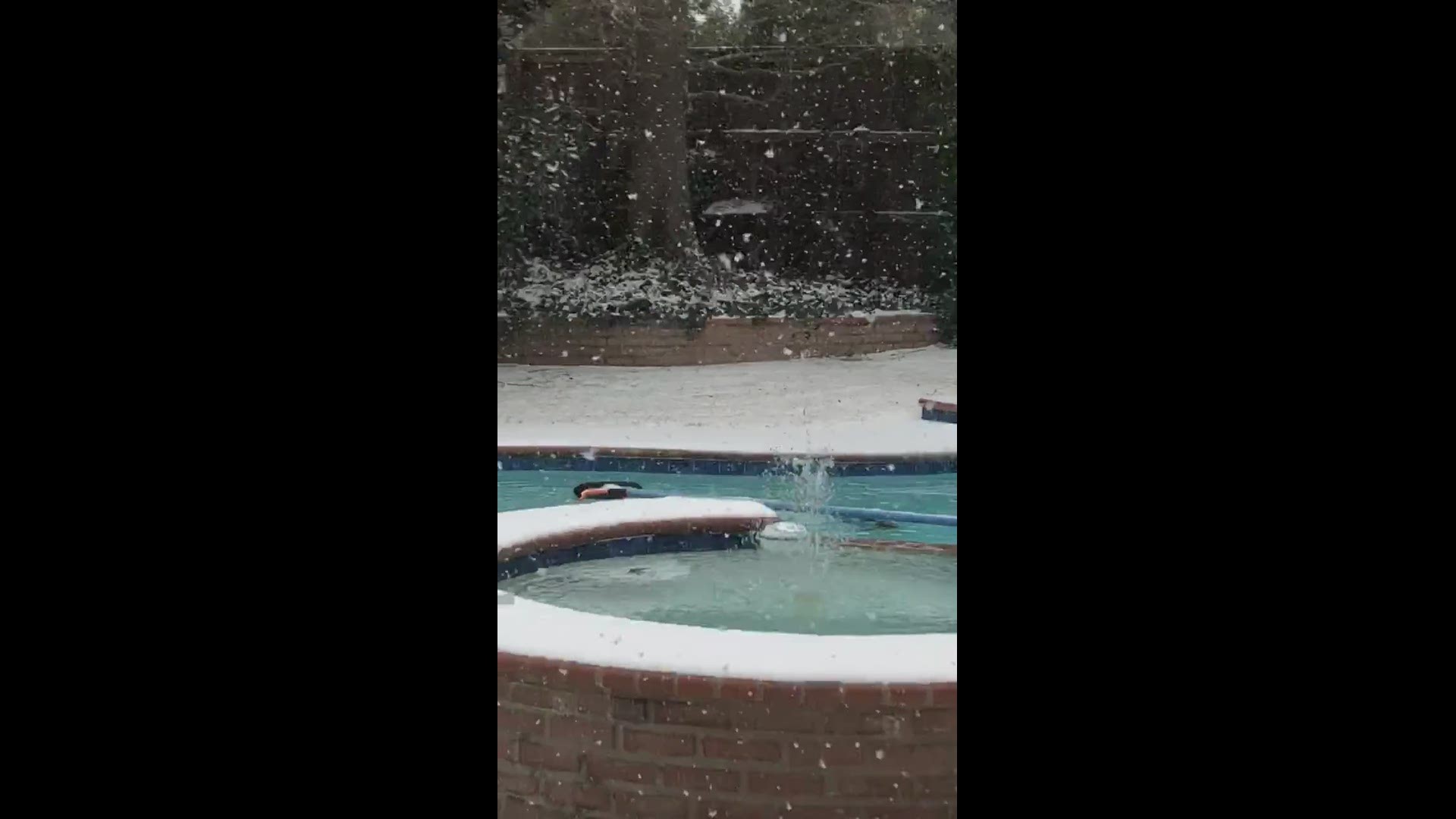 Winter Storm Warning across Texas: Snow and extreme cold continues ...