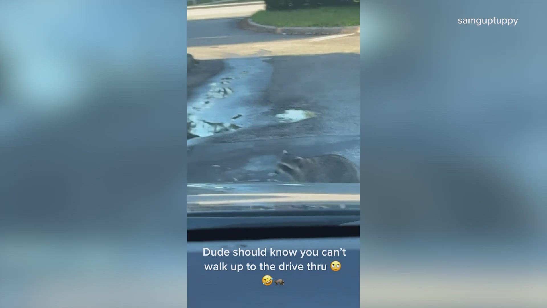 Employees gave the creature a donut at the drive-thru window.