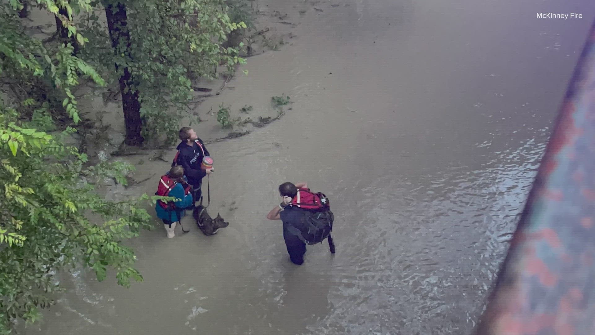 Several people and a dog were rescued from floodwaters after heavy rain moved through McKinney overnight, fire officials said.