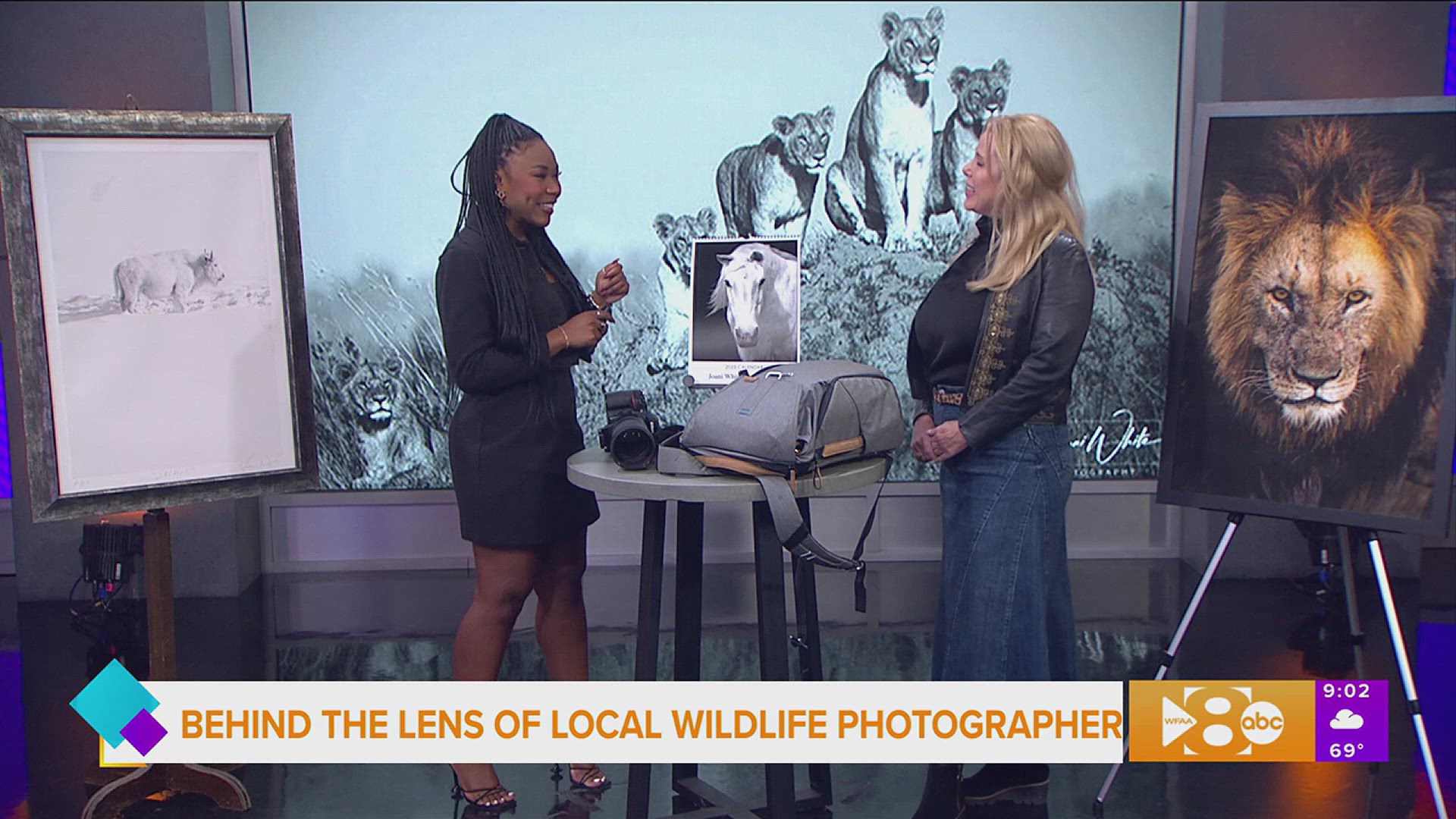 Dallas based wildlife photographer Joani White previews her art show at  Stanley Korshak  October 10-12.