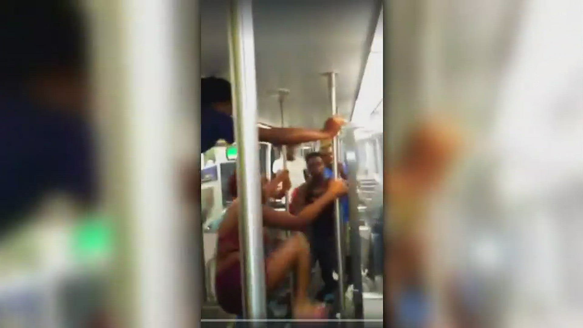 Raw video: Violent assault on DART train