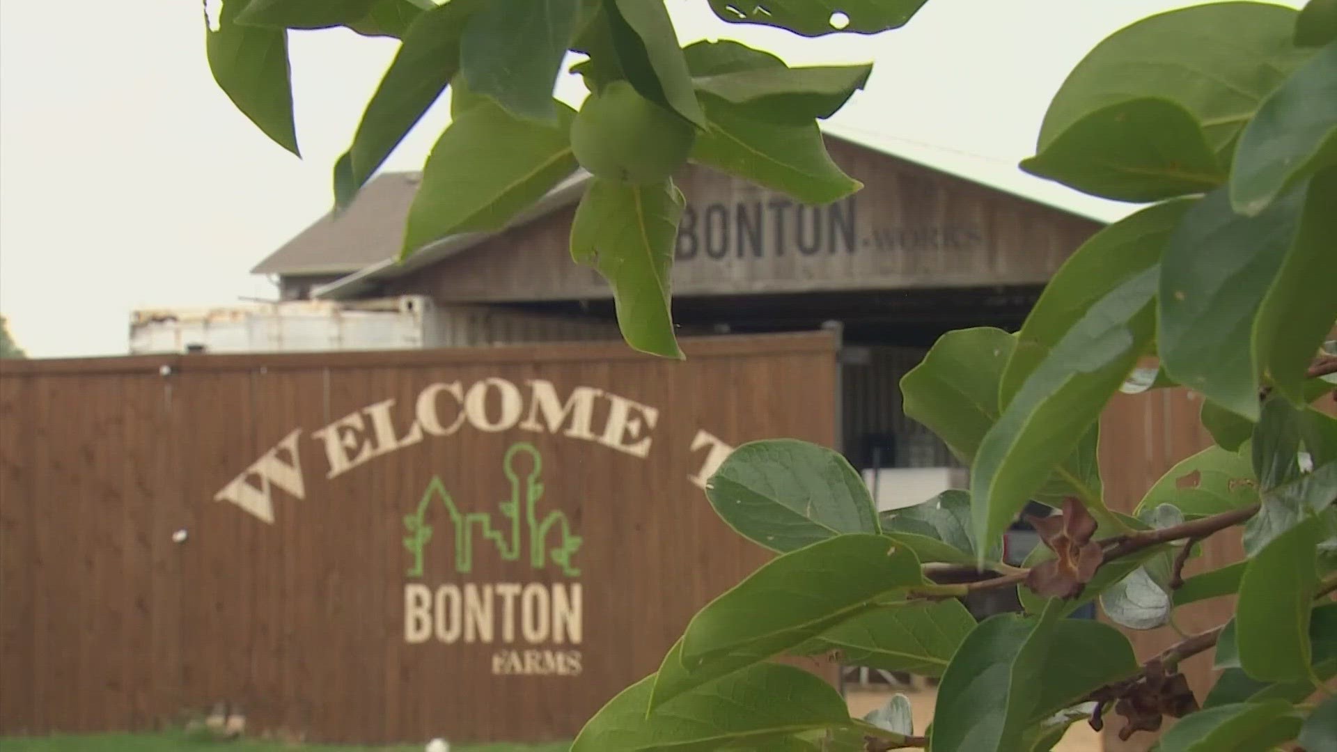 Bonton Farms in southern Dallas is changing the landscape in the area.
