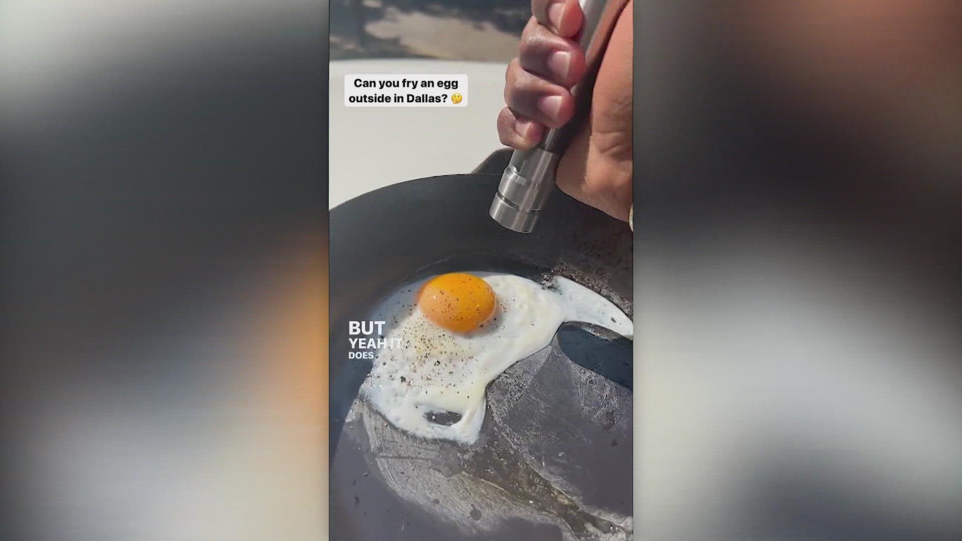 Can you cook an egg in Texas heat?