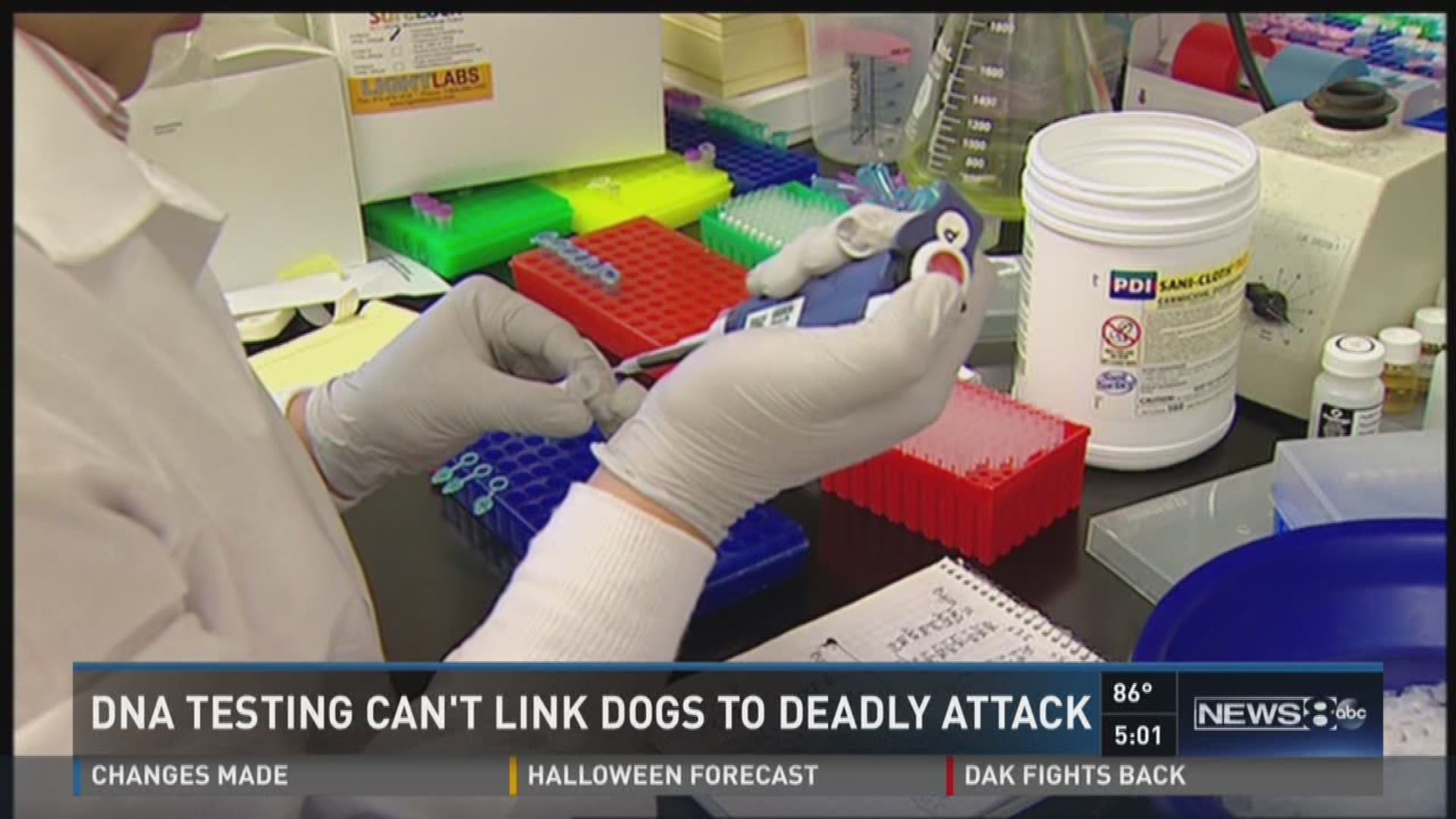 DNA Testing can't Link Dogs to  Deadly Attack