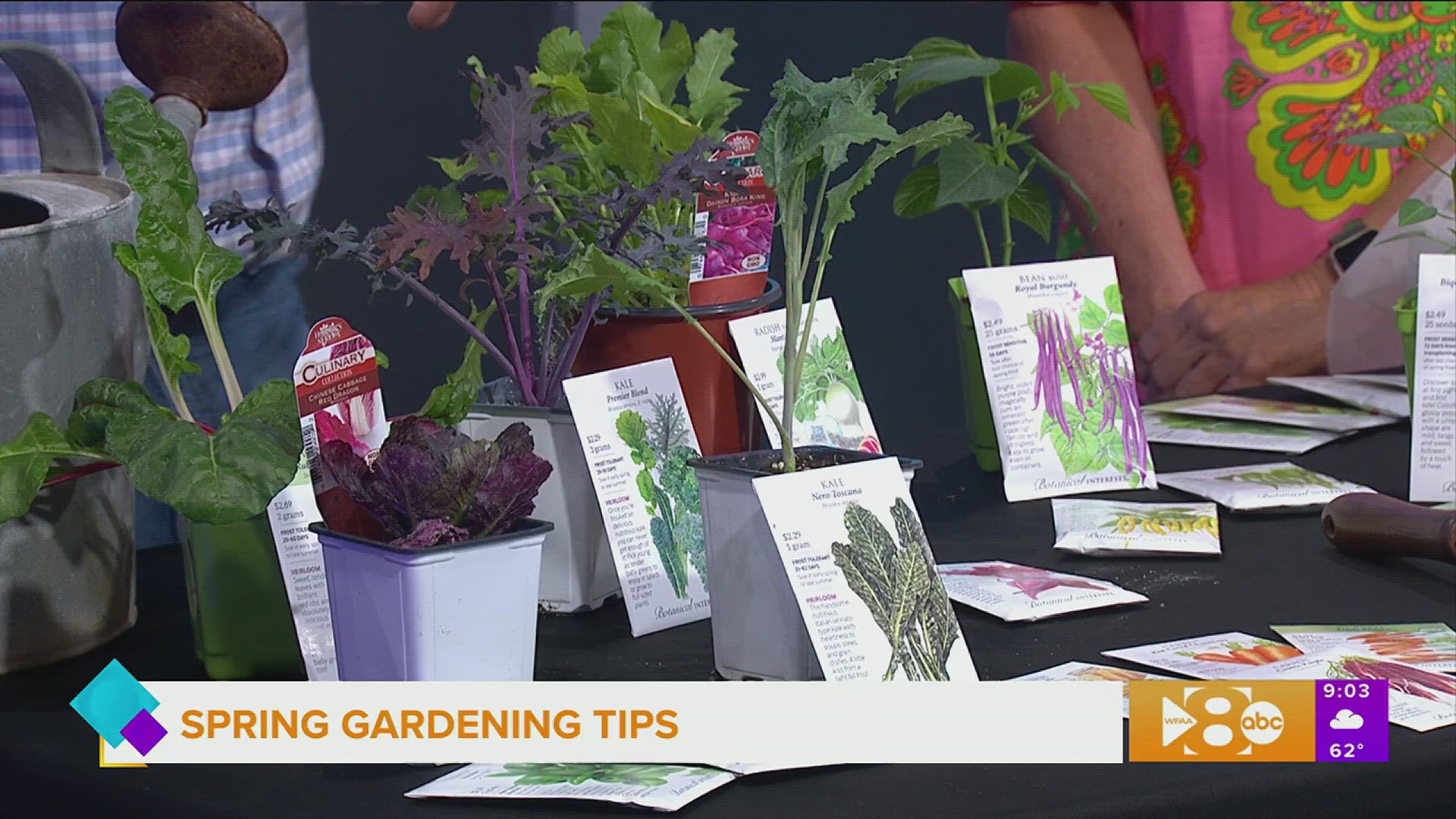 Horticulturist and Texas Plant Guy Daniel Cunningham of Rooted In offers a spring timeline for  vegetable garden planting