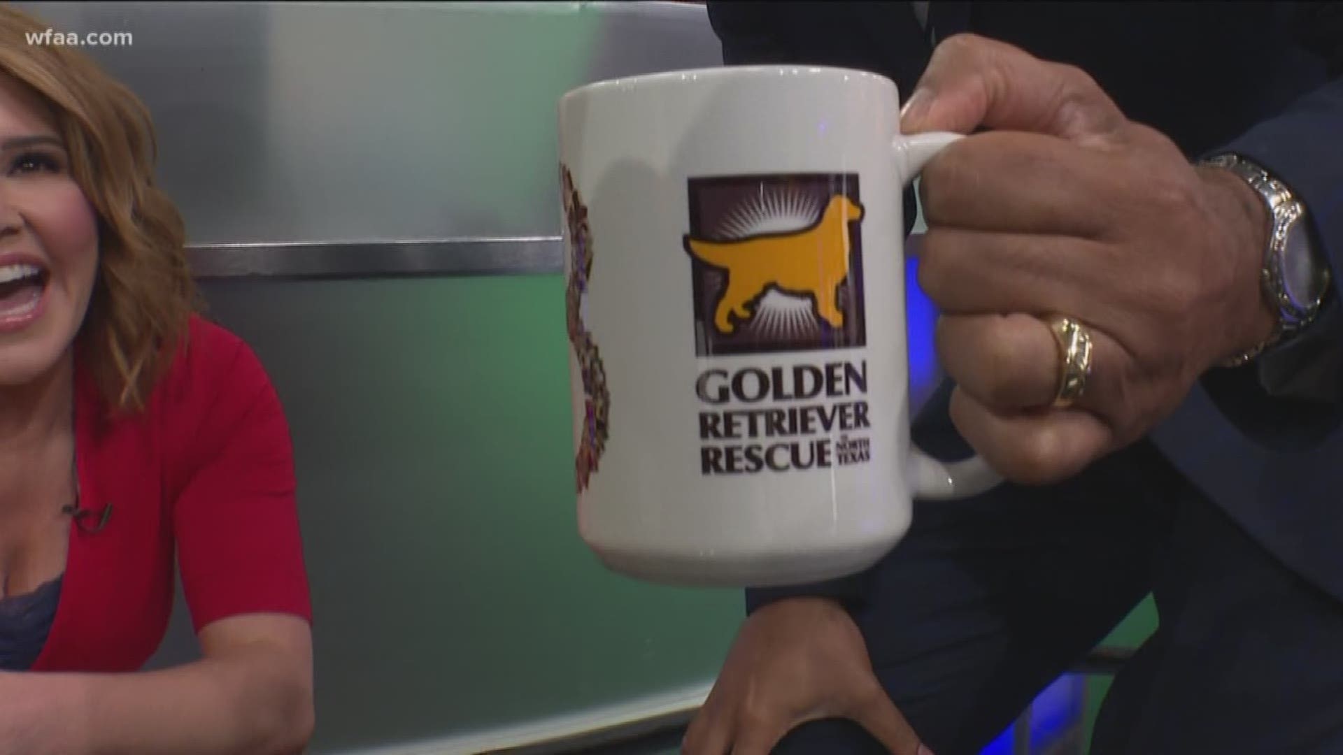 Every day leading up to North Texas Giving Day, Greg Fields is drinking from a mug featuring an area nonprofit raising funds on Sept. 19. Today's cup is from the Golden Retrieve Rescue of North Texas. The organization provides permanent homes for dogs.