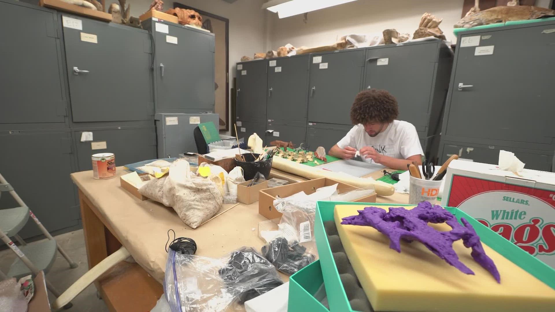 To build a successful career in paleontology, you need a passion for fossils, geology and physiology. And, if you're this SMU student, that also includes origami.