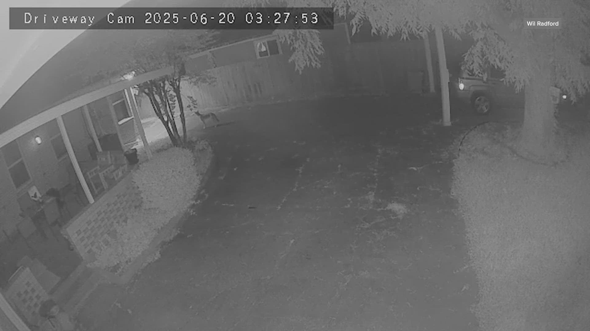 Officials have warned about coyotes in the area. 