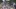 Hollywood, Florida shooting: Two arrested after nine people injured