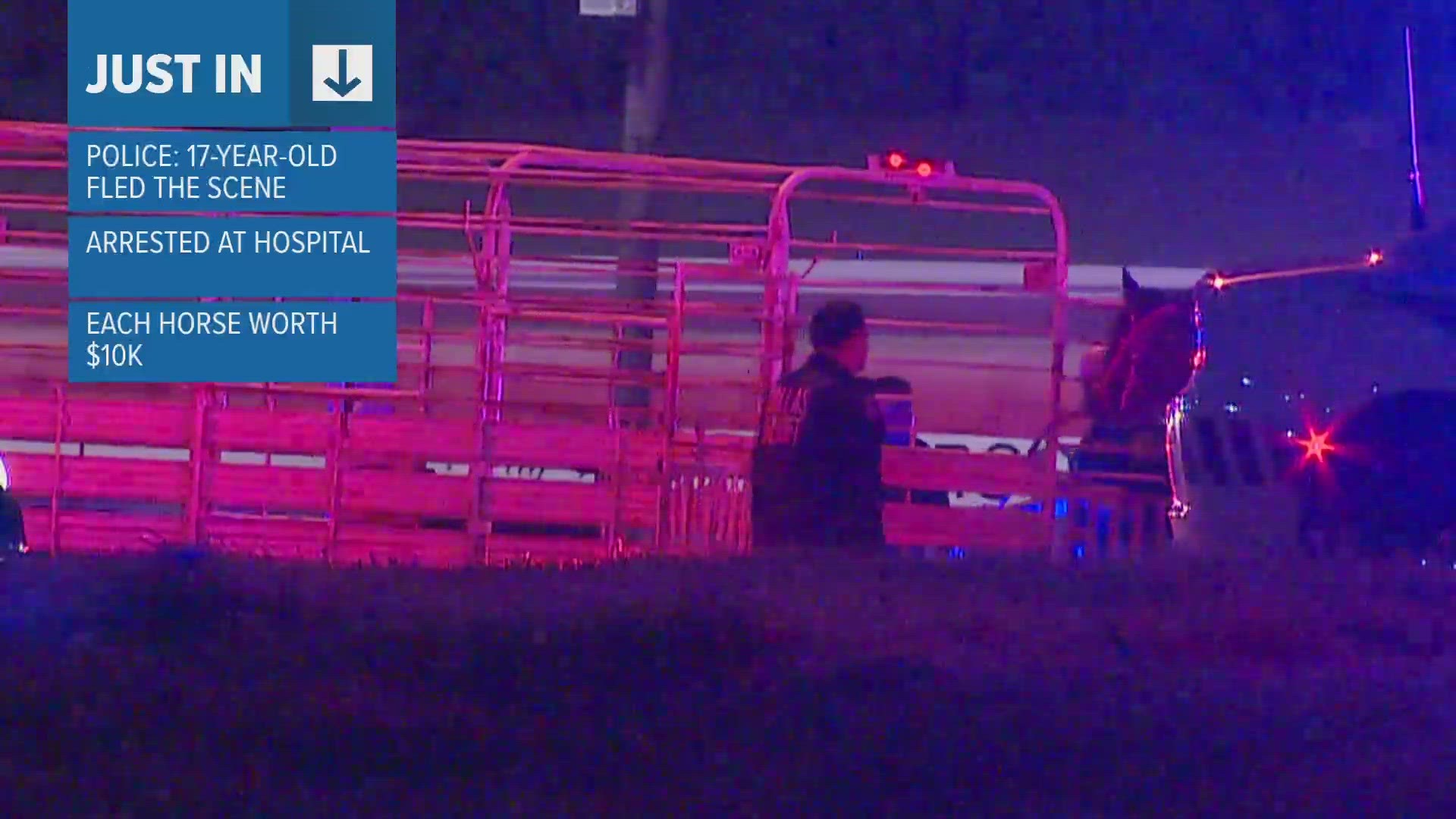 Teen arrested after horses stolen from Dallas ranch | wfaa.com