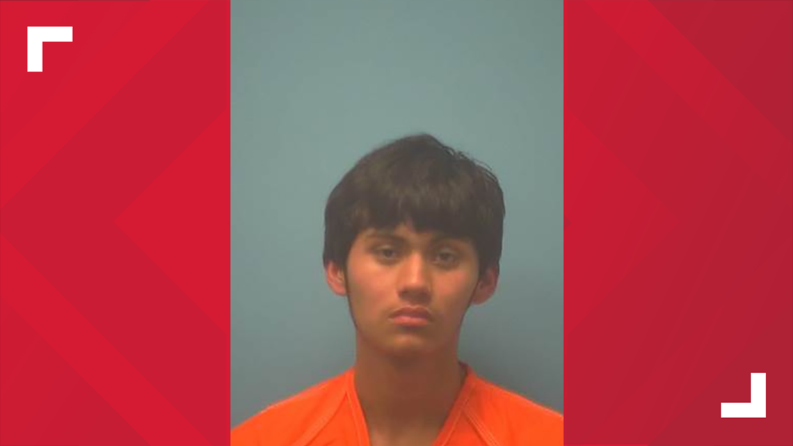 Teen faces capital murder charge in shooting death of 66-year-old woman ...