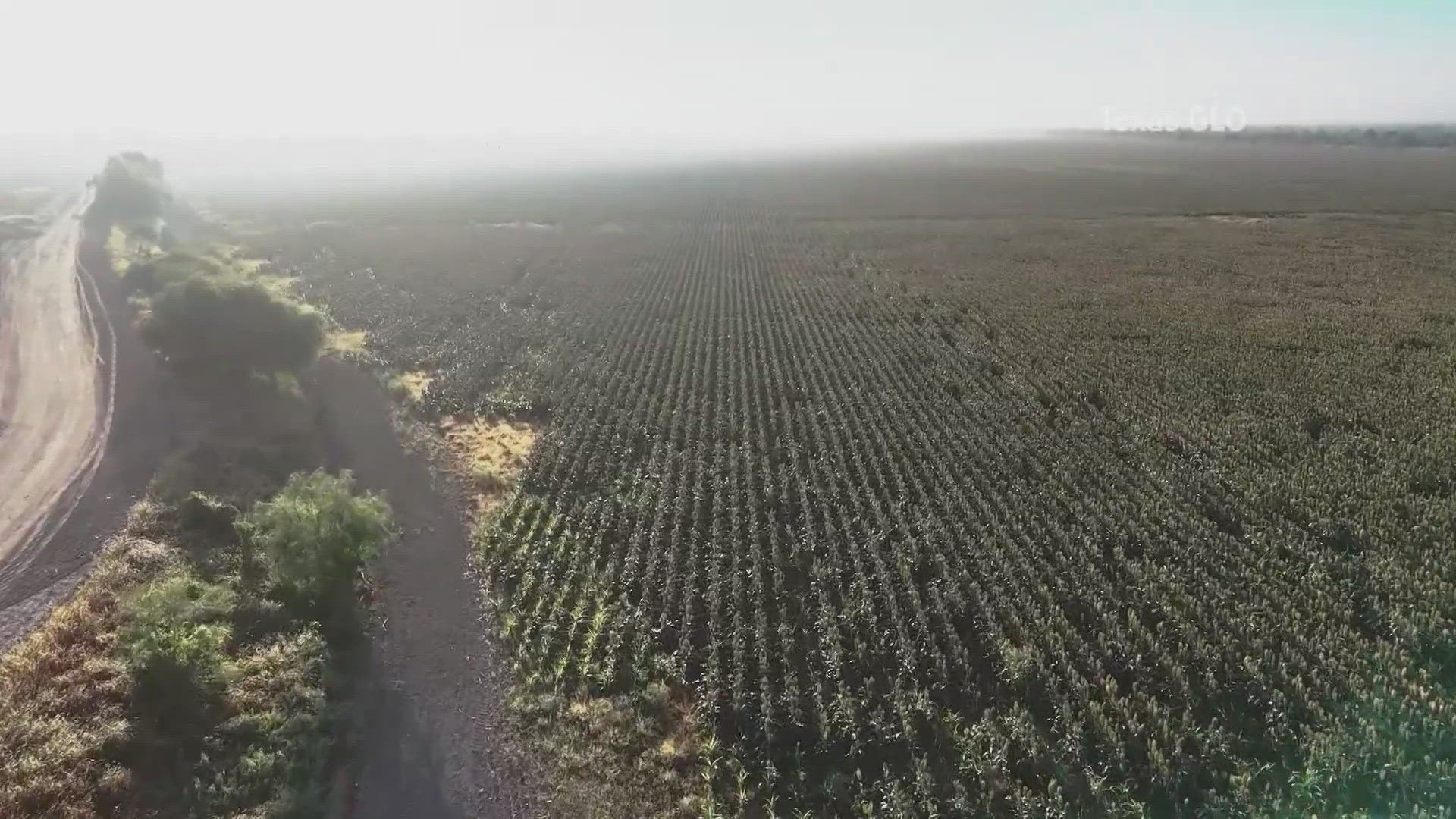 Texas officials confirm President-elect Trump's incoming Border Czar has accepted the state land commissioner's offer to lease land in Starr County.