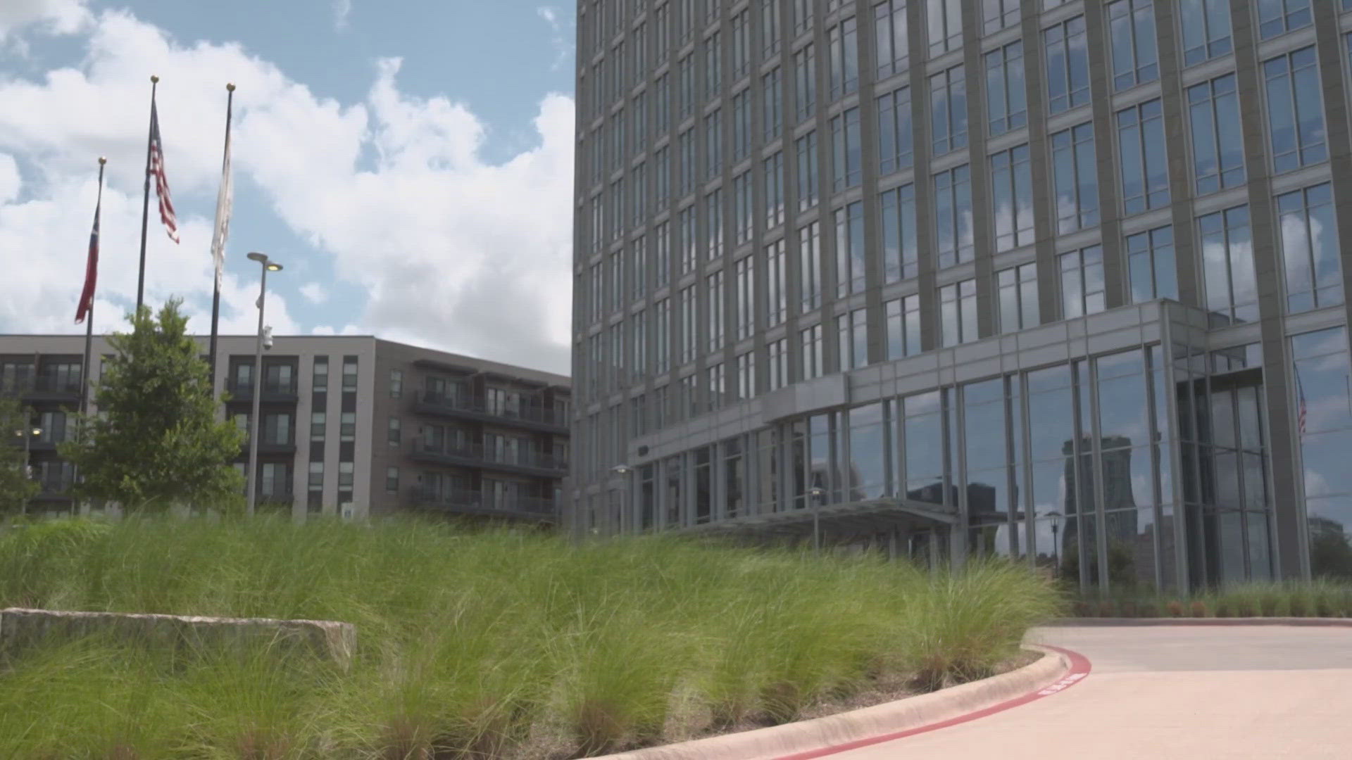 The council delayed the vote to suspend the city's DEI initiatives. 