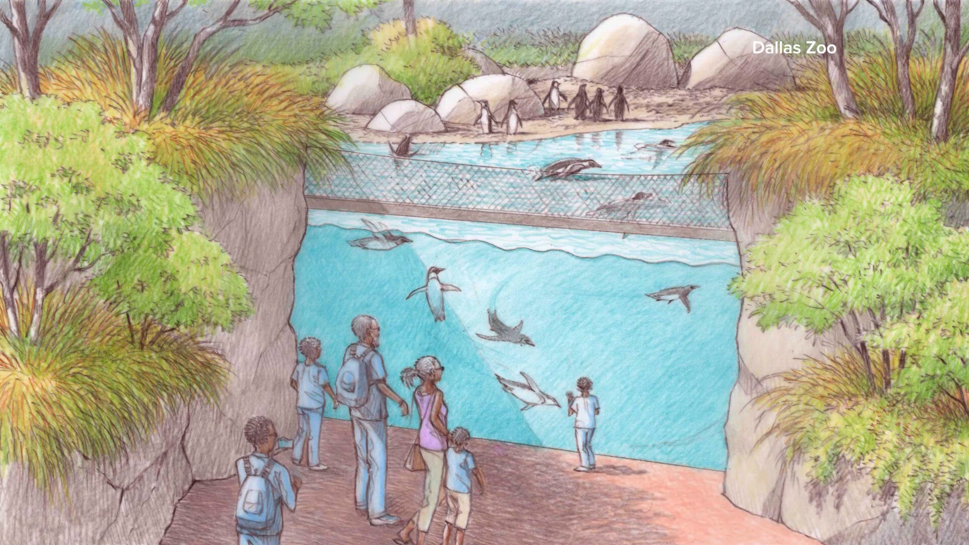Projector Ad Example Dallas City Council approves $28M new project at Dallas Zoo | wfaa.com