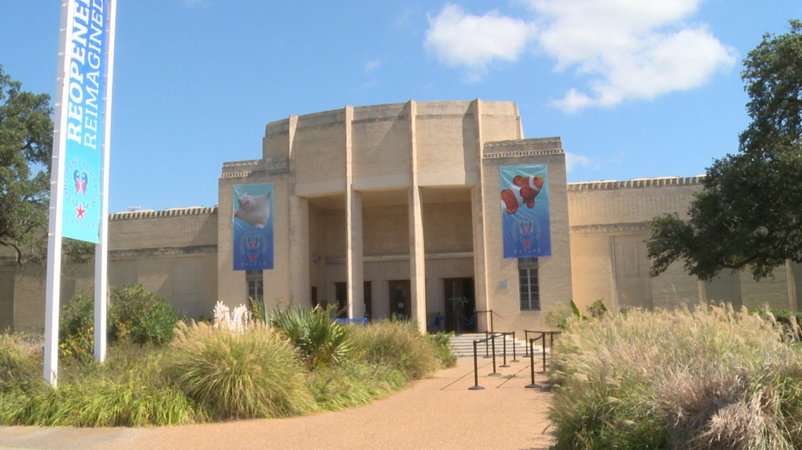Dallas Children's Aquarium set to reopen
