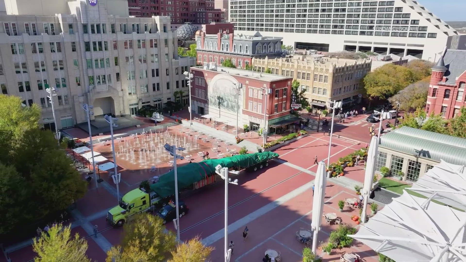 Tallest live Christmas tree in Texas arrives at Sundance Square Plaza ...
