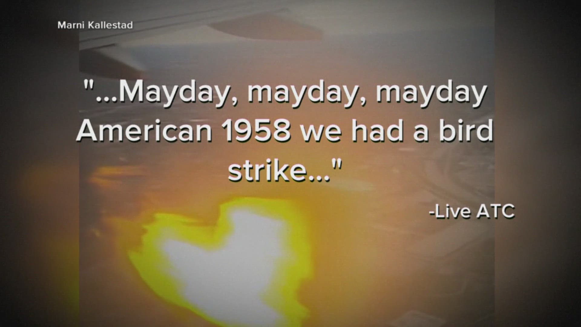 The American Airlines flight was taking off from an airport in Columbus, Ohio, when the bird strike happened.