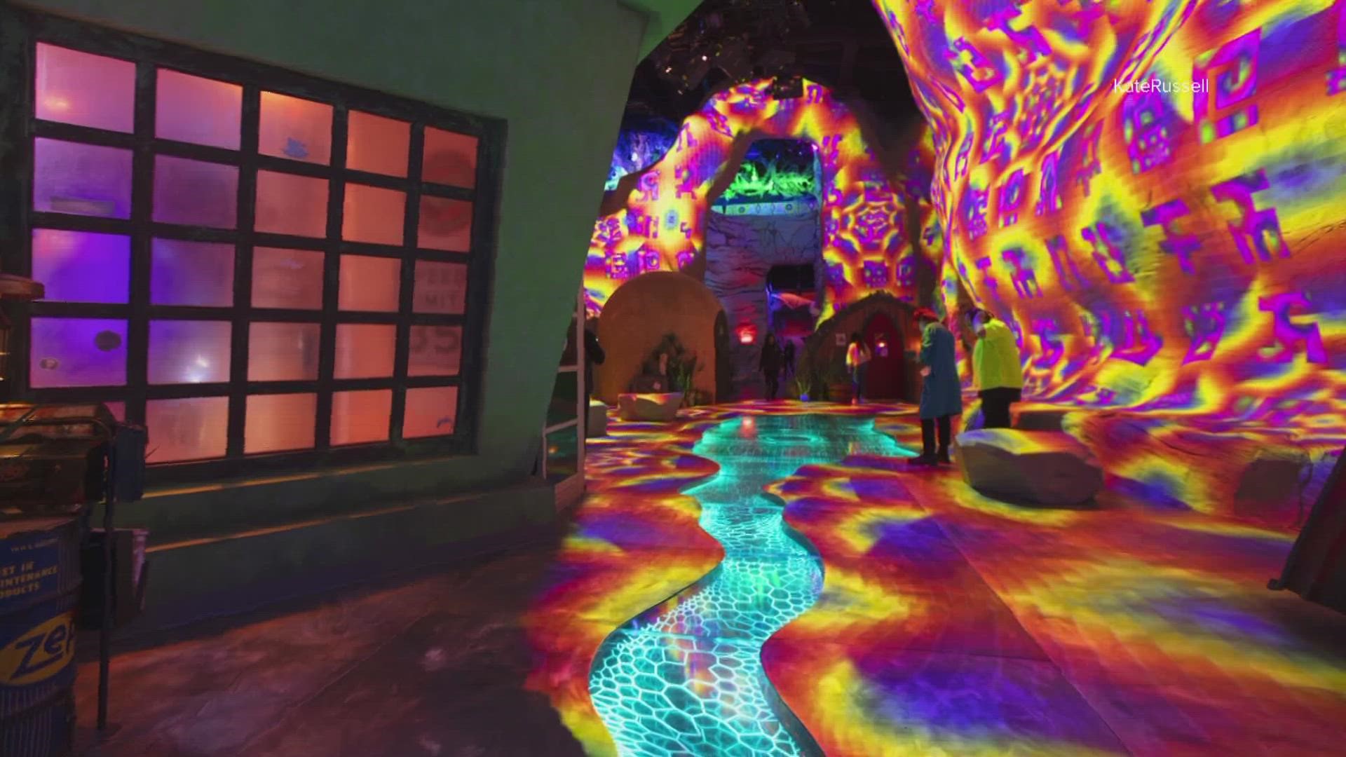 Meow Wolf is known for its immersive and interactive experiences aimed at transporting audiences of all ages into fantastical realms of story and exploration.