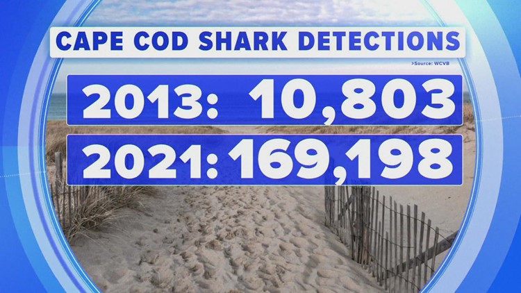 New shark warning at popular areas around the U.S.