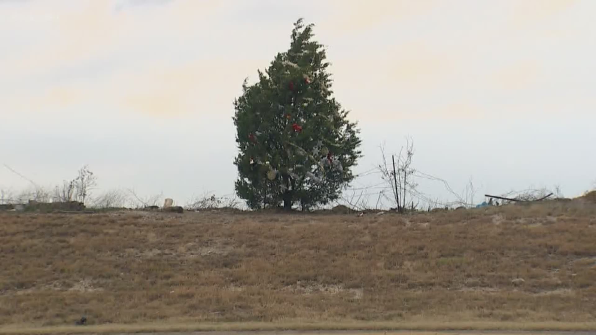 Mystery Christmas tree stands alone in Prosper