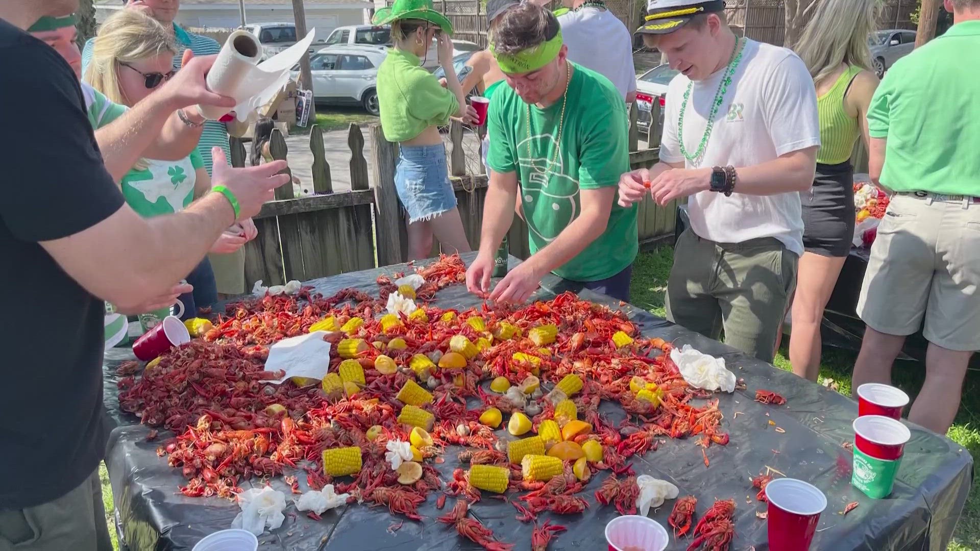 "For us to buy it live and bring it over here is astronomical," David Snell, the owner of Cajun Crawfish Company told WFAA.